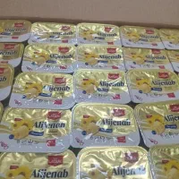 کره گیاهی ۱۰ گرمی