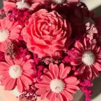 گل رز، بابونه