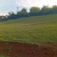 زمین روستای نصفی الش دشت