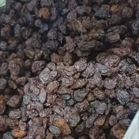 کشمش آفتابی آبگیری