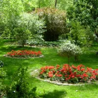 راهنمایی میخام‌|فعالیت داوطلبانه|کرج, جهان‌شهر|دیوار