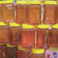 عمده فروشی عسل طبیعی