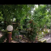 اجاره باغ و سالن|اجارهٔ کوتاه‌مدت ویلا و باغ|الوند, |دیوار