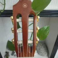 گیتار یاماها c70|گیتار، بیس، امپلیفایر|اندیشه, اندیشه فاز ۵|دیوار