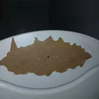 تخت یک نفره کشو دار