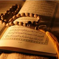 مجرب (سرکتاب)