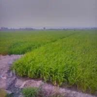 آب یابی جهت حفر چاه