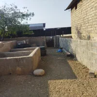 فروش دامداری ۱۵۰۰ متری در صغاد|فروش دفتر صنعتی، کشاورزی، تجاری|فسا, |دیوار