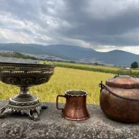 دیزی مسی و جا میوه