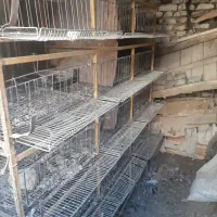 قفس ۵طبقه آهنی مخصوص کبوتر و بلدرچین و...