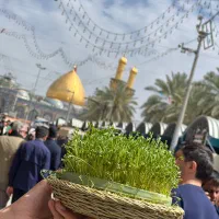 تور کربلا شهادت امام رضا|تور و چارتر|مشهد, ده دی|دیوار