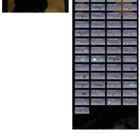 اکانت کالاف دیوتی ارزان