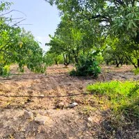 هزارمتر زمین|فروش زمین و ملک کلنگی|شاهین‌شهر, فردوسی|دیوار