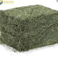 یونجه