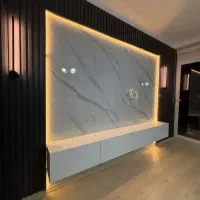 استخدام نیرو