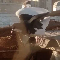 سه تا سیاهپوش بی عیب حراج