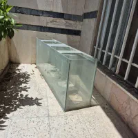 آکواریوم
