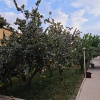 فروش باغ|فروش خانه و ویلا|خمینی‌شهر, |دیوار