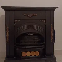 بخاری polar28000