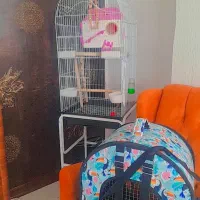کیف مسافرتی حمل پرند و قفس بزرگ