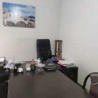 منشی خانم