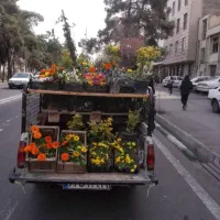 سمپاشی وباغبانی بامهرفاکتور شرکت درسراسرتهران|خدمات باغبانی و درختکاری|تهران, ونک|دیوار