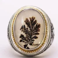 سنگ شجرهای قاعن ورکاب 925تضمینی