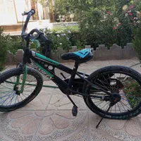 دوچرخه 20شاهین|دوچرخه، اسکیت، اسکوتر|کرمان, |دیوار