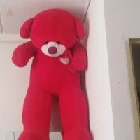 خرس ولنتاین