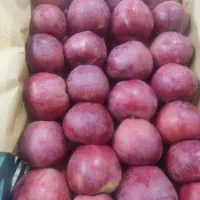 سیب درجه یک پول نقد|خوردنی و آشامیدنی|اهر, |دیوار