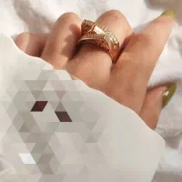 بدلیجات