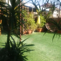 فازسه تراسه ۱۳۹ متری معلم اسانسوردار طبقه اول