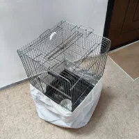 قفس پرندگان