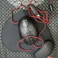 فروش موس|قطعات و لوازم جانبی رایانه|فومن, |دیوار