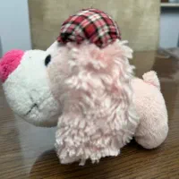 اسباب بازی|اسباب‌بازی بچه|اردبیل, |دیوار