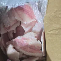 فروش عمده ماهی تیلا و میگو