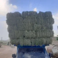 یونجه انباری تحویلی