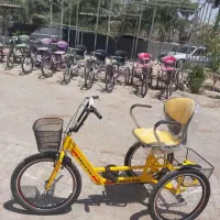 سه چرخه وطنی