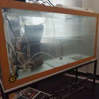 اکواریوم با پایه اهنی