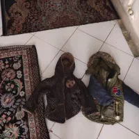 کاپشن بچه|کفش و لباس بچه|کرج, کمال‌شهر|دیوار