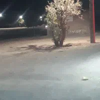 مغازه تجاری ۲۴۰متری سندششدانگ