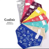 لباس زیر نیم تنه