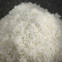 فروش برنج هاشمی استان گیلان مستقیم از شالیکار