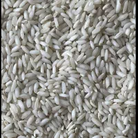 برنج عنبر بو امساله خوش عطر و خوش پخت