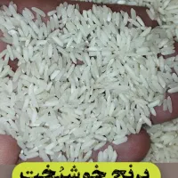 برنج سرلاشه طارم معطر ۲۳۰ هزار تومان|خوردنی و آشامیدنی|مشهد, شهرک رازی (شهرک غرب)|دیوار