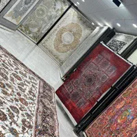 فرش مُحتشم ۱۵۰۰ شانه کد ۳۱۵۷۰ روناسی ۱۲ متری|فرش|شیراز, فرهنگیان|دیوار