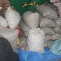 فروش گردو در نمایشگاه|خوردنی و آشامیدنی|بادرود, |دیوار