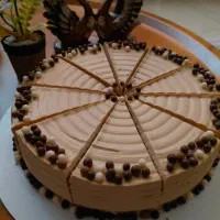 کیک و دسر کافه و مجالس|خوردنی و آشامیدنی|شیراز, سفیرشمالی|دیوار