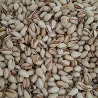 پسته مه ولات|خوردنی و آشامیدنی|مشهد, کوشش|دیوار
