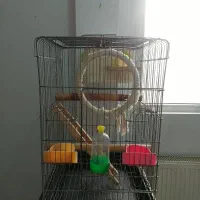 قفس ۱۰۳۳ درشت بافت و ۱۰۳۲ با لوازم کامل معاوضه با